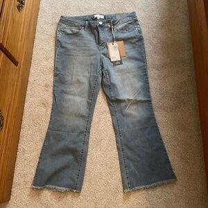 NWT 1822 Denim Frayed High Rise Demi Bootcut Jeans Size 14